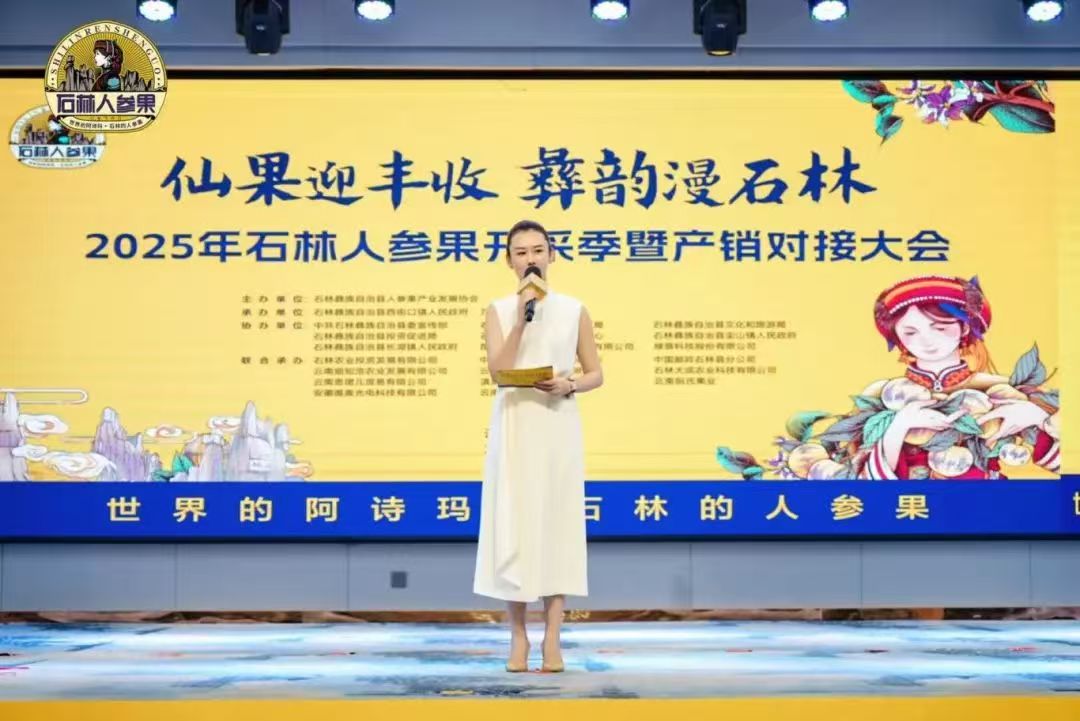 VSEE SORTING muncul di Konferensi Perjodohan Produksi dan Pemasaran Buah Ginseng Shilin, dan teknologi penyortiran cerdas memberdayakan peningkatan industri.