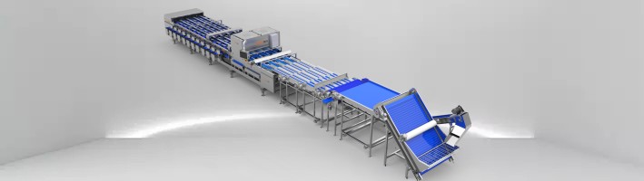 PENYORTIH WARNA TANGGAL