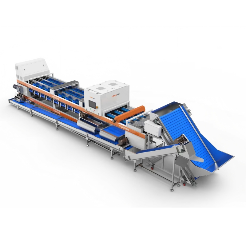 VSEE pistachio sorting machine